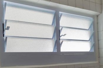Louvre Window