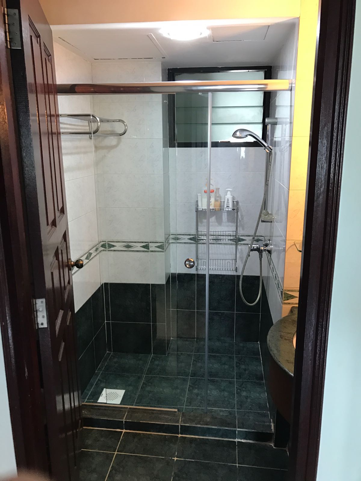 Sliding Shower Screen